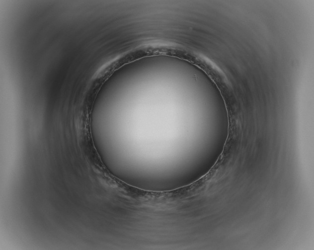 X0000113120775200909041305