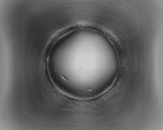 X0000113120776200909041305