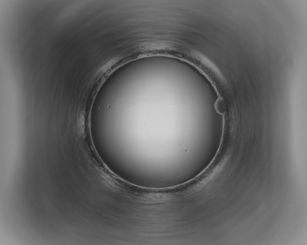 X0000113120777200909041305