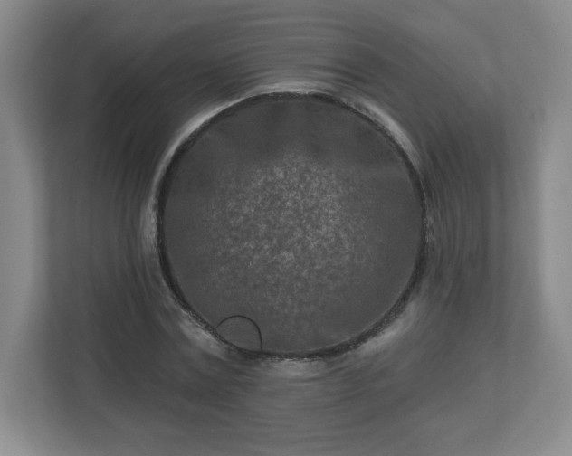 X0000113120779200909041305