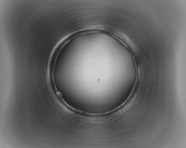 X0000113120780200909041305