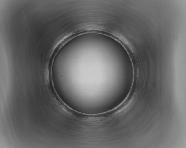 X0000113120782200909041305