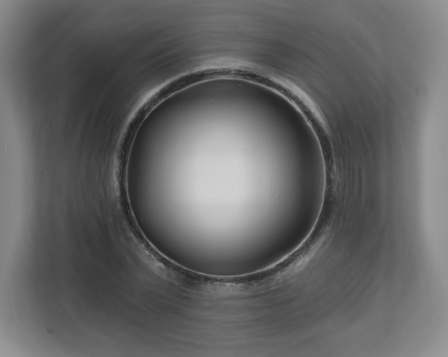 X0000113120783200909041305