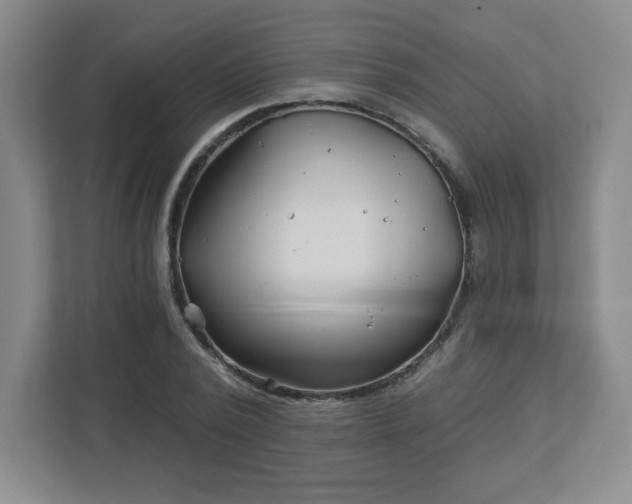 X0000113120784200909041305