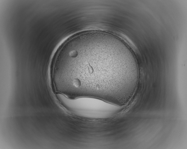 X0000113120788200909041305