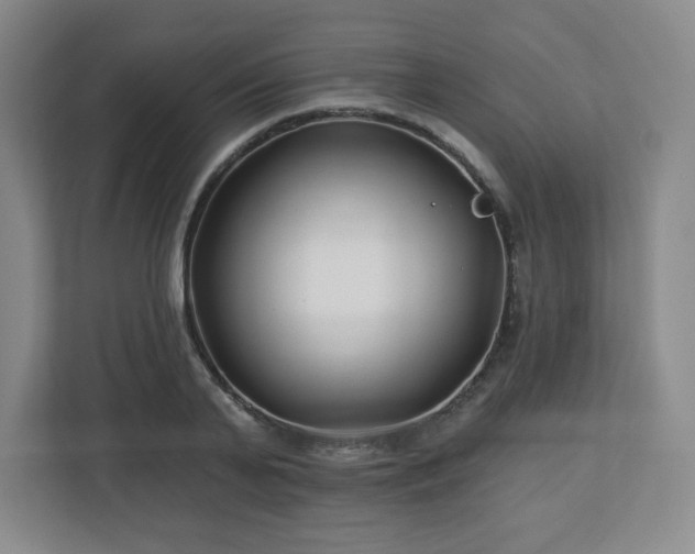 X0000113120791200909041305