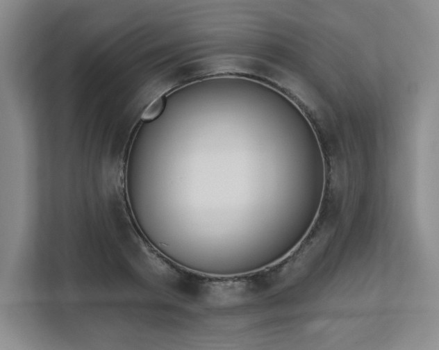 X0000113120793200909041305