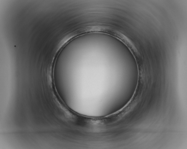 X0000113120794200909041305