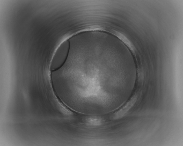 X0000113120797200909041305