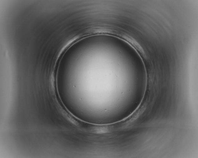 X0000113120798200909041305