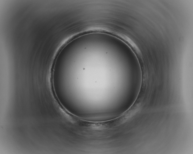 X0000113120799200909041305