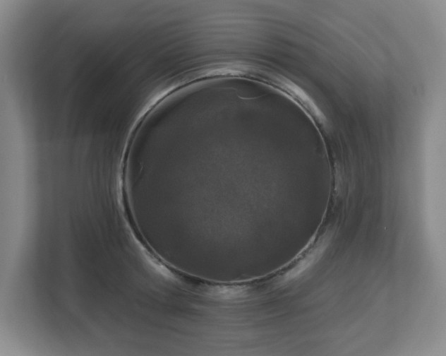 X0000113120802200909041305