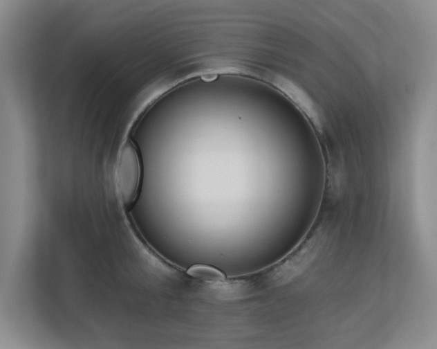 X0000113120805200909041305