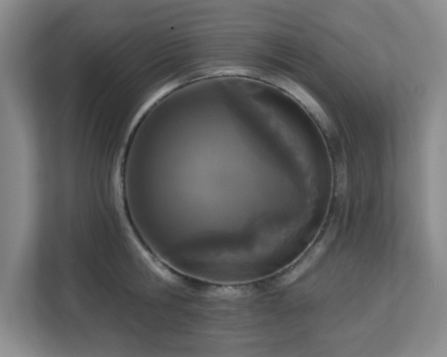 X0000113120806200909041305