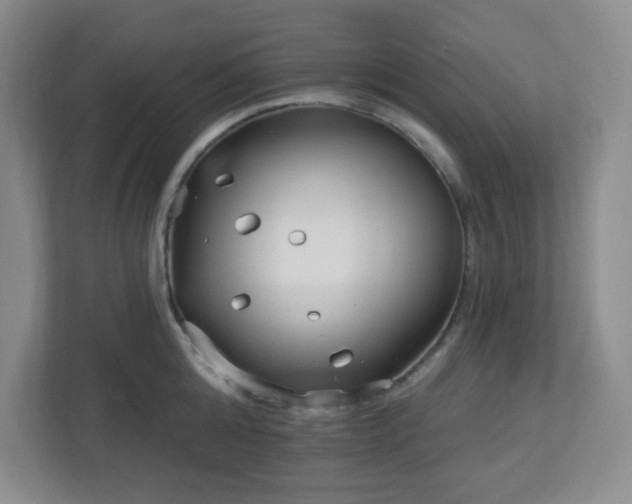 X0000113120808200909041305