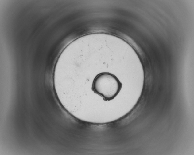 X0000113120810200909041305