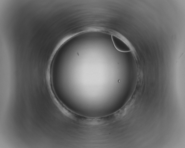 X0000113120811200909041305