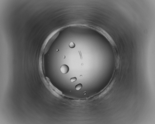 X0000113120812200909041305