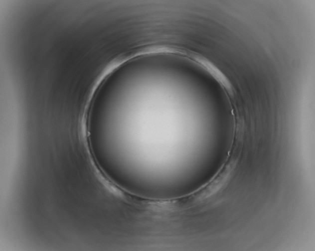 X0000113120813200909041305