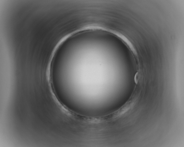 X0000113120815200909041305