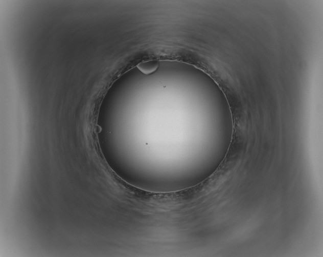 X0000113120817200909041304