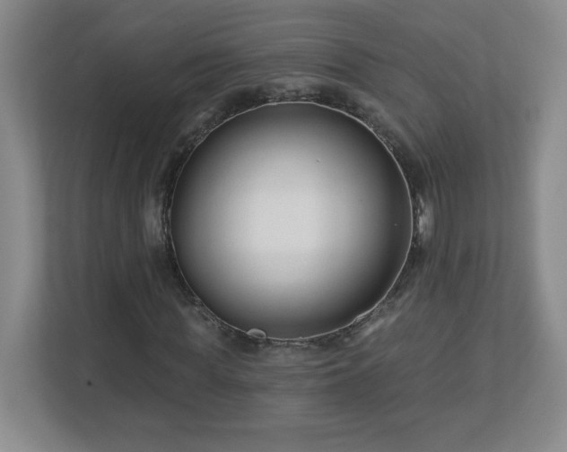 X0000113120819200909041304