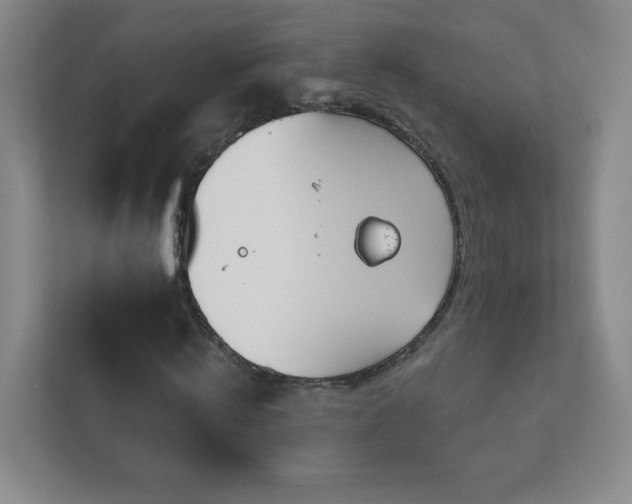 X0000113120820200909041304