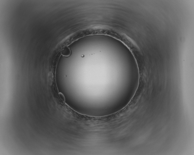 X0000113120821200909041304