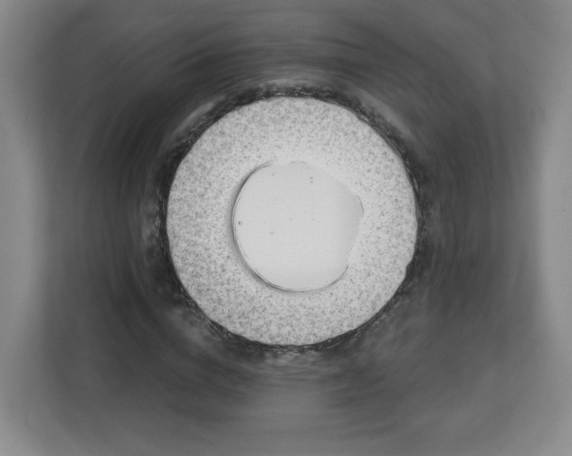 X0000113120824200909041304