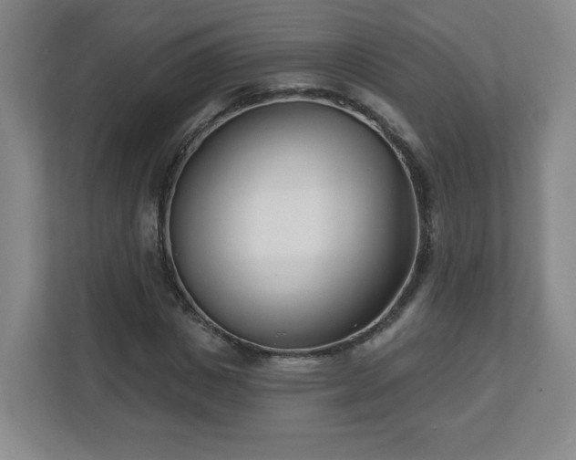 X0000113120825200909041304