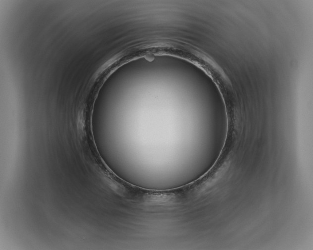 X0000113120826200909041304