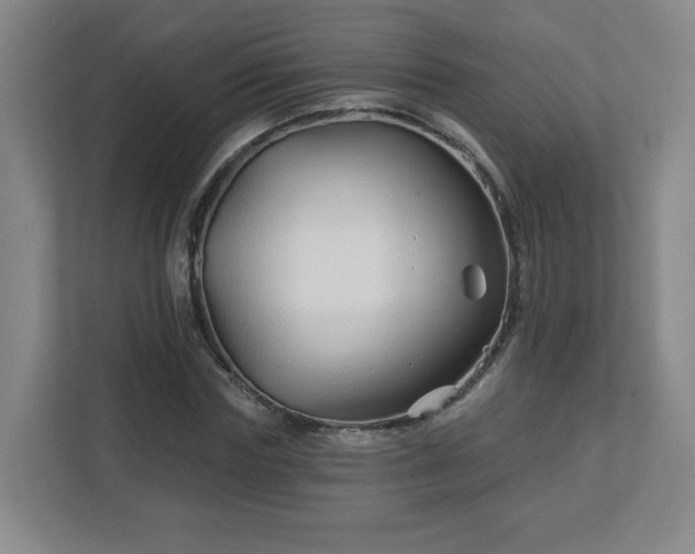 X0000113120827200909041304