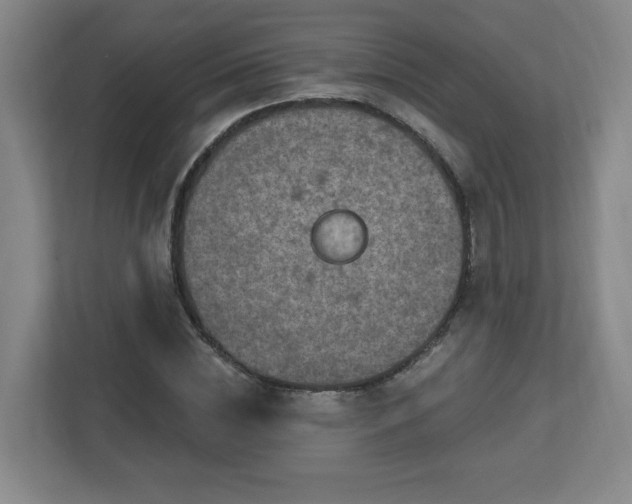 X0000113120828200909041304