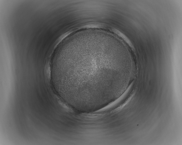 X0000113120829200909041304