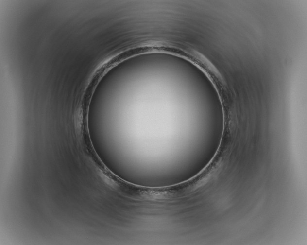 X0000113120831200909041304