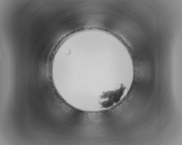 X0000113120832200909041304