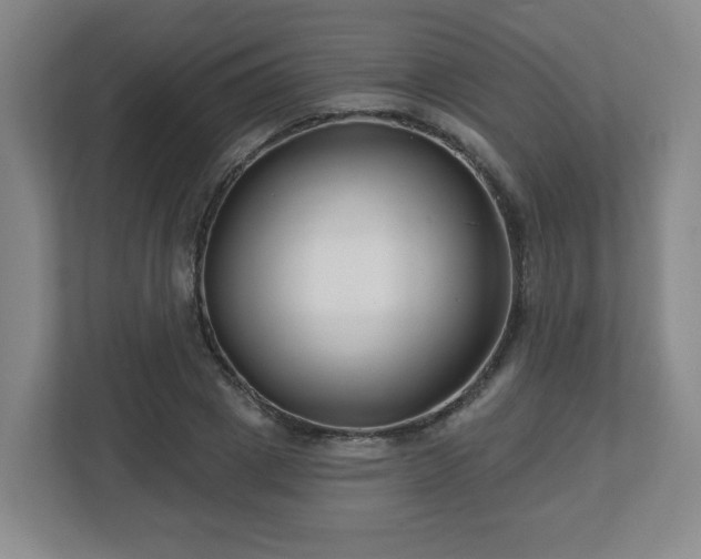 X0000113120833200909041304