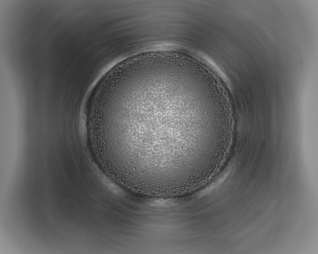 X0000113120835200909041304