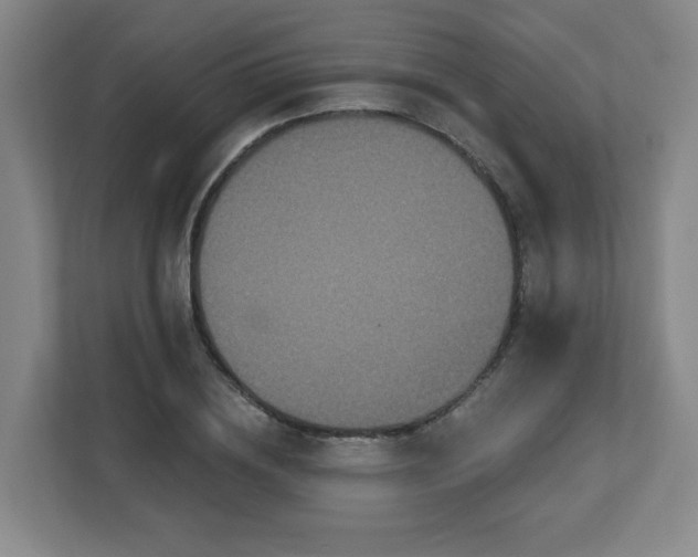 X0000113120836200909041304