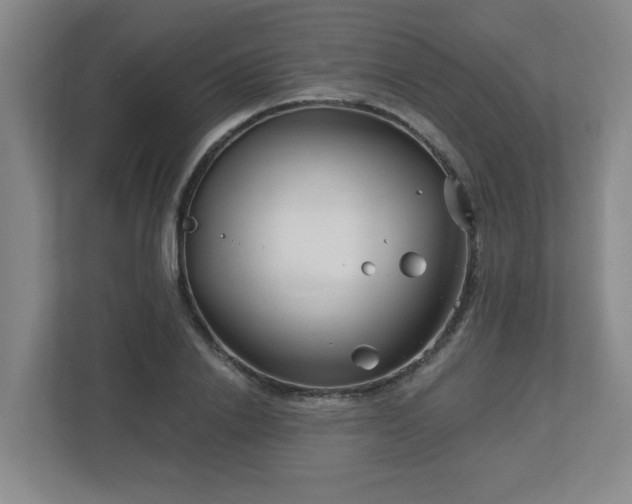 X0000113120838200909041304