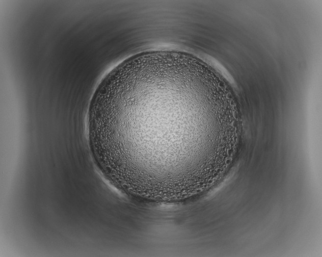 X0000113120839200909041304