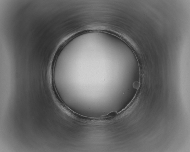 X0000113120840200909041304