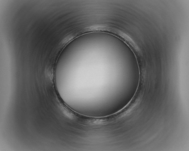 X0000113120841200909041304