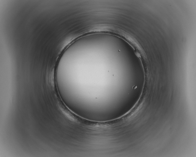 X0000113120842200909041304