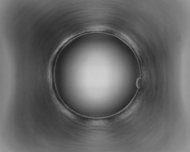 X0000113120843200909041304