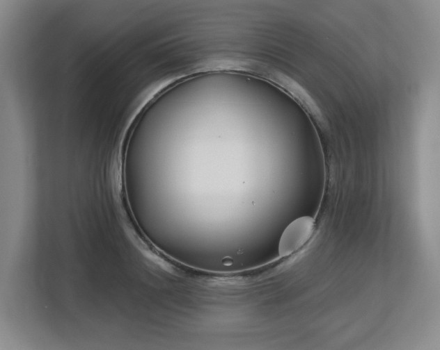 X0000113120844200909041304