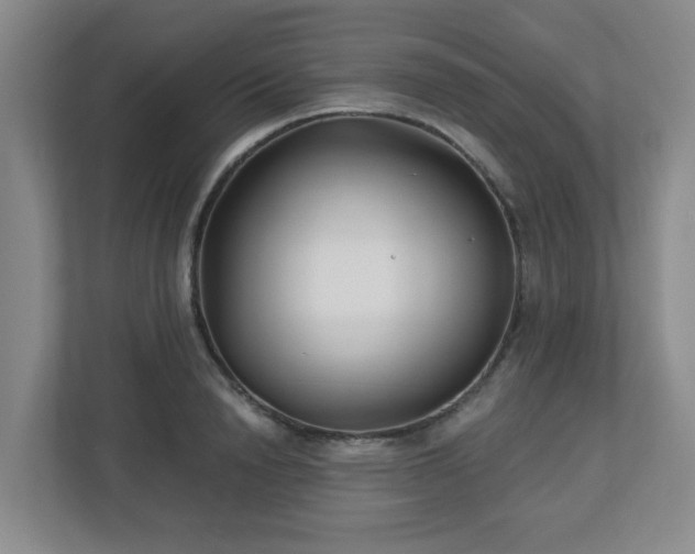 X0000113120846200909041304