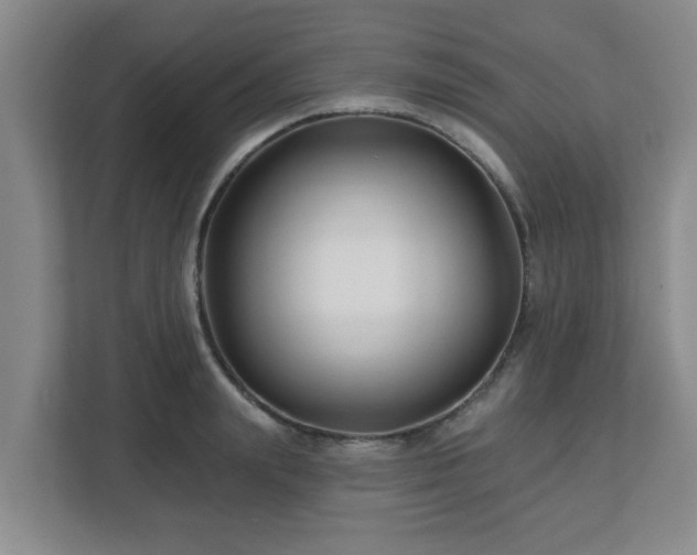 X0000113120847200909041304