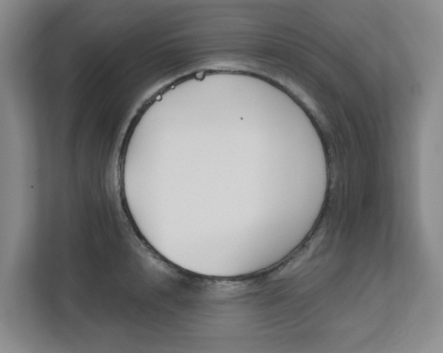 X0000113120848200909041304