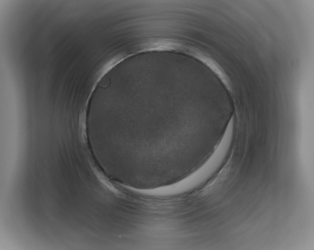 X0000113120850200909041304